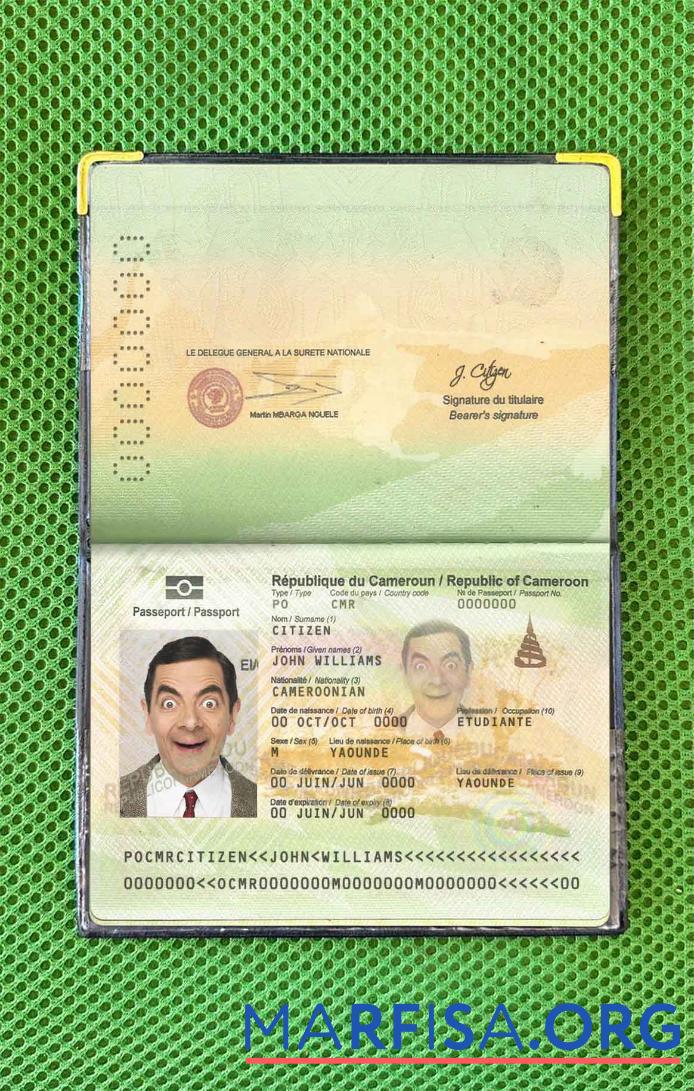 Blank Cameroon passport photo look sample